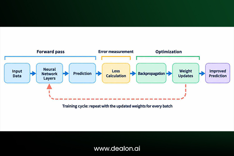 Steps of how a neural network learns